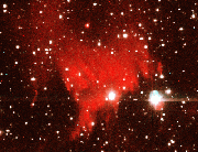 Nova Cyg